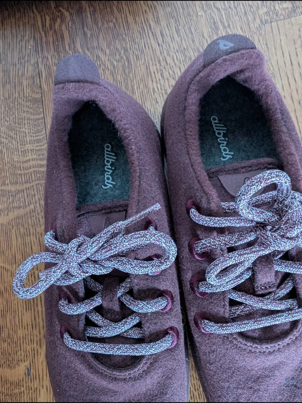 Allbirds Men's Wool Sneakers in Maroon New In Box Mens Size 9